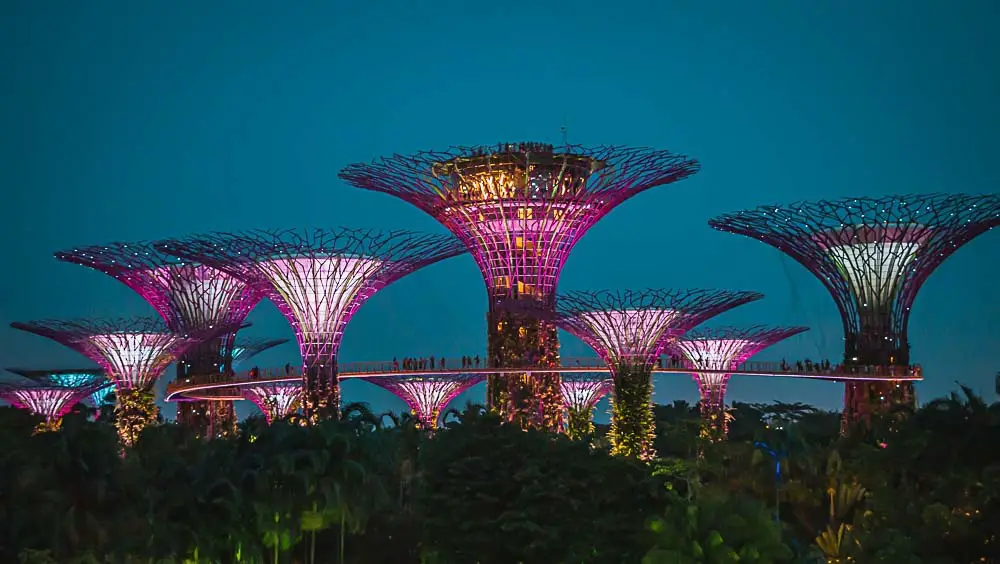 Die Supertrees im Gardens By The Bay in Singapur in der Nacht.
