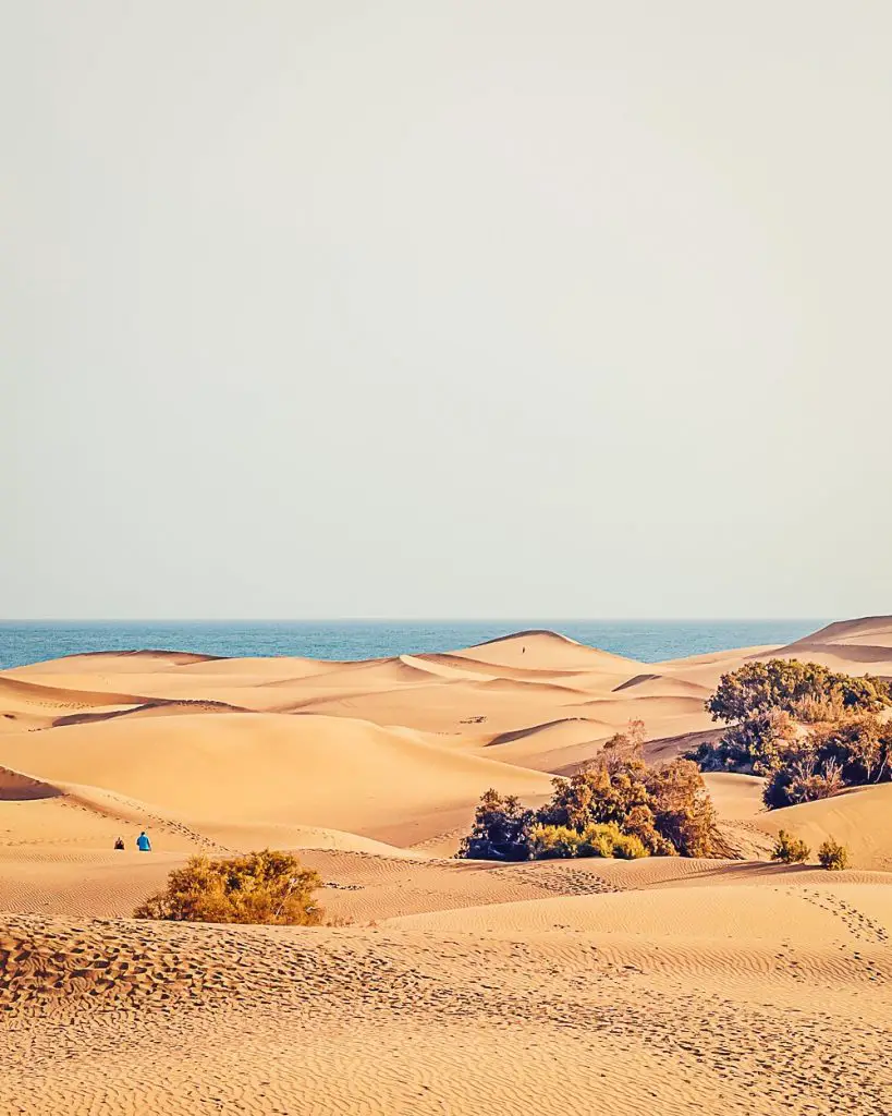 Sanddühnen in Maspalomas auf Gran Canaria in Spanien