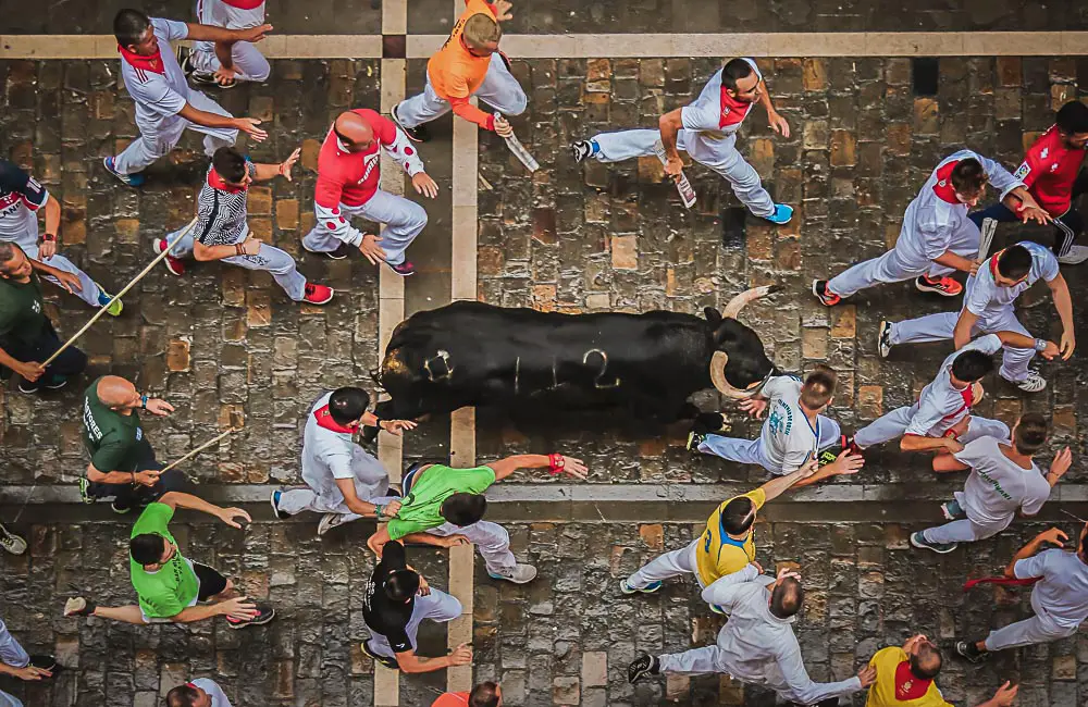 Stiere in den Straßen von Pamplona in Spanien