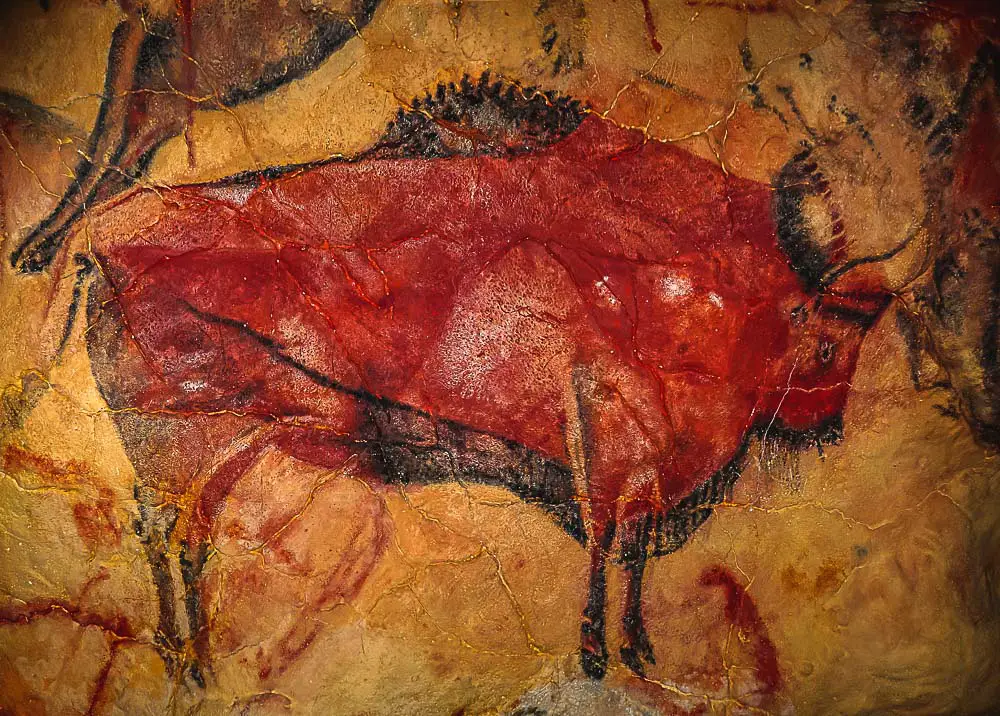 Stier in der Höhle von Altamira in Spanien