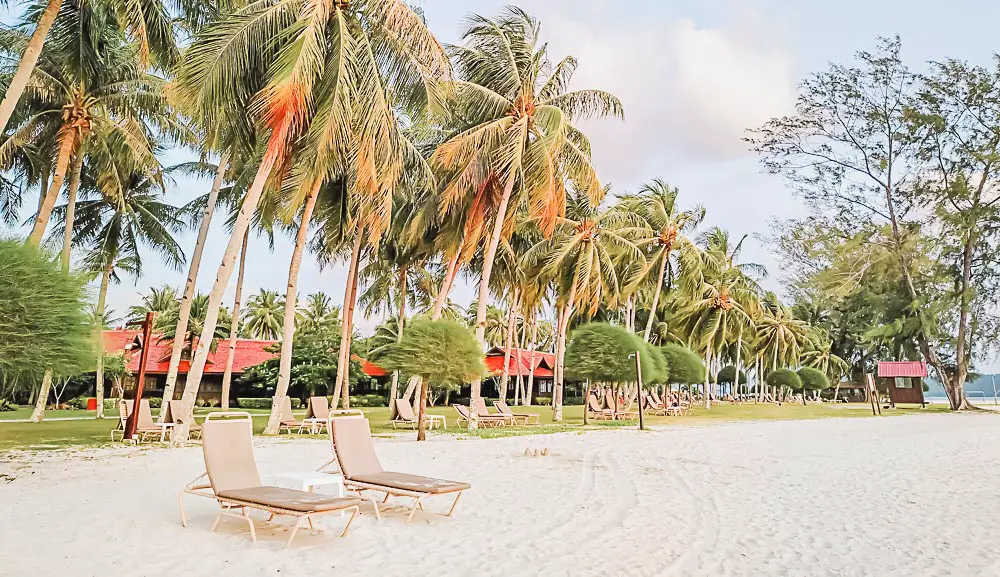 Strand mit Palmen und Sonnenliegen auf der Insel Langkawi in Malaysia