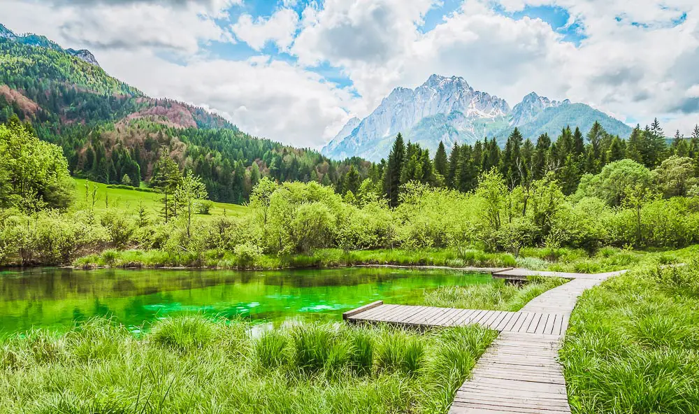 Zelenci See in Slowenien