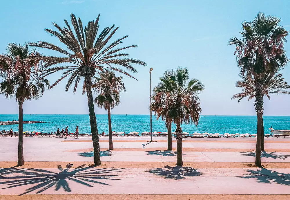 Palmen am Meer in Barcelona in Spanien