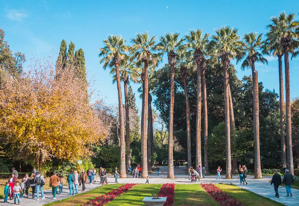 Park in Athen in Griechenland im Winter