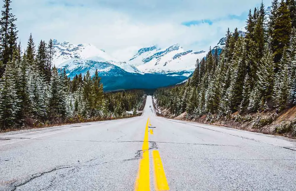 Straße zum Athabasca Gletscher in Alberta in Kanada Straße zum Athabasca Gletscher in Alberta in Kanada