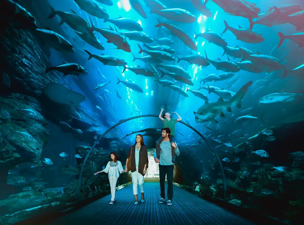 Dubai Aquarium in den Vereinigten Arabischen Emiraten