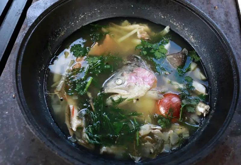 Ukha Fischsuppe aus der Ukraine