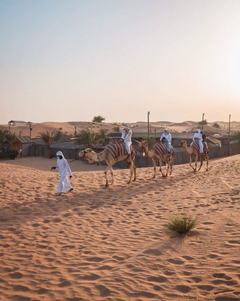 Wüstencamp im Sonnenuntergang in Dubai