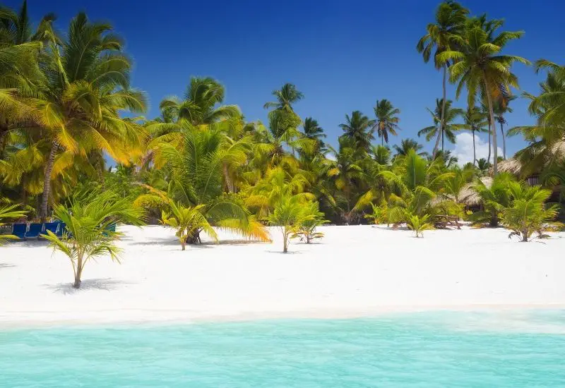 Isla Saona Dominikanische Republik Isla Saona Dominikanische Republik