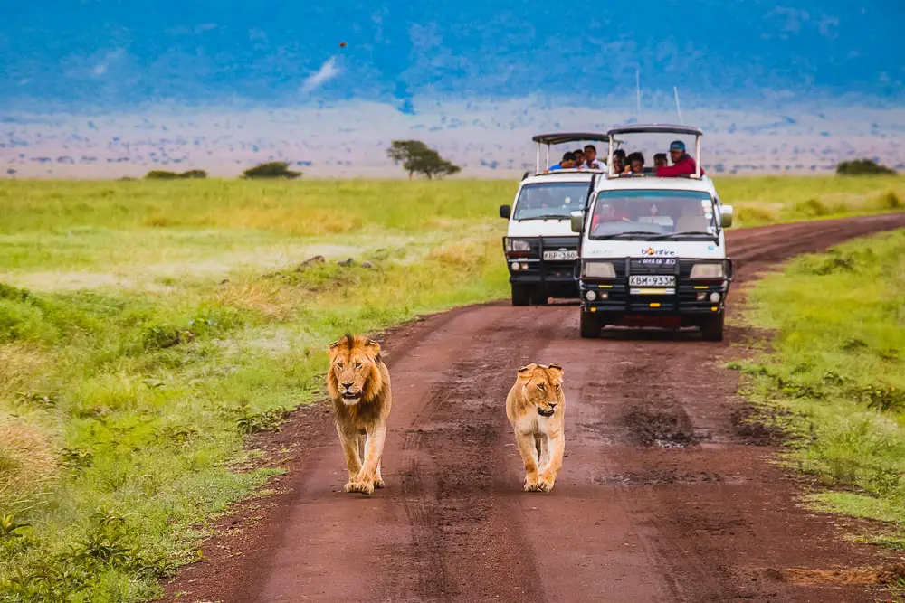 Masai Mara Nationalpark in Kenia