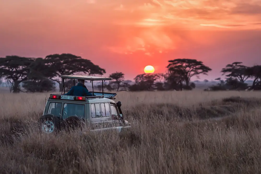 Serengeti Nationalpark in Tansania