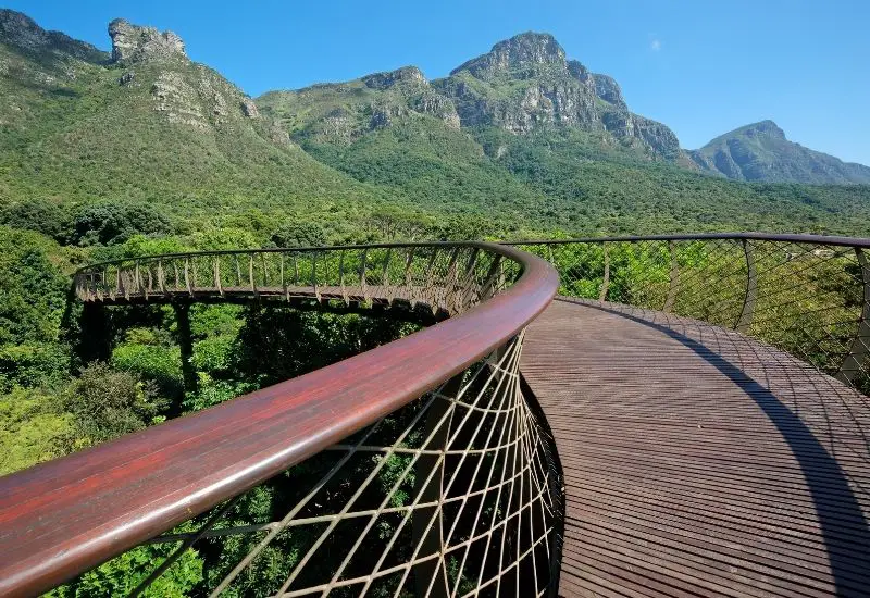 Kirstenbosch National Botanical Garden in Kapstadt in Südafrika Kirstenbosch National Botanical Garden in Kapstadt in Südafrika