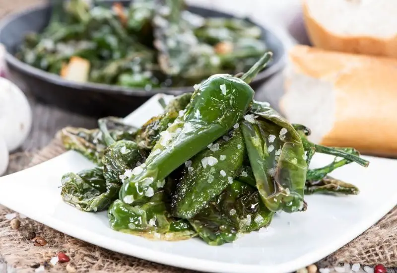 Pimientos de Padron in einer Tapas Bar in Spanien