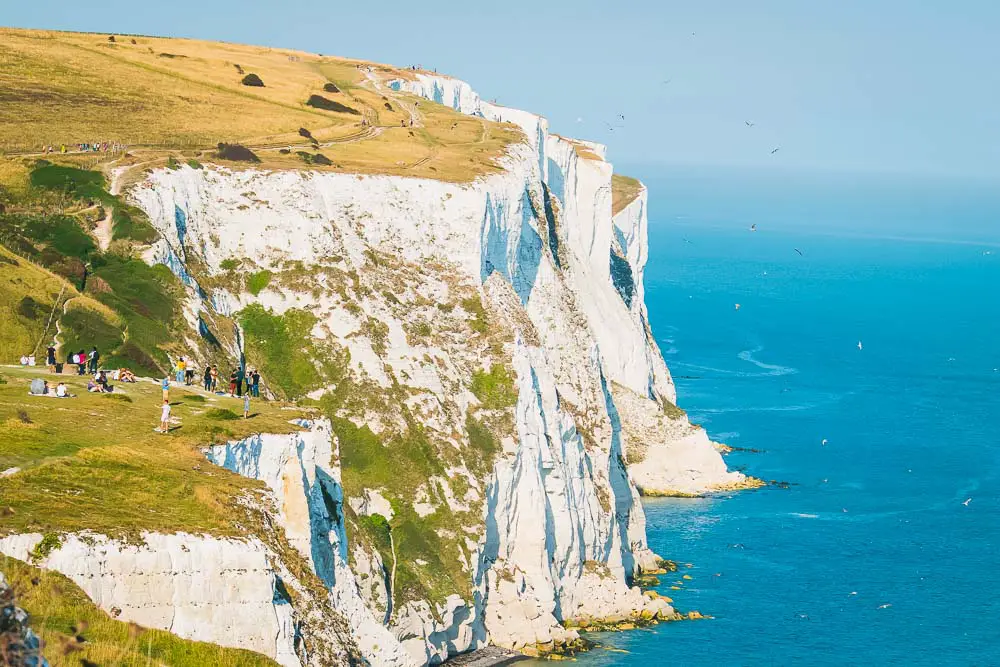 White Cliffs Klippen von Dover im Vereinigten Königreich