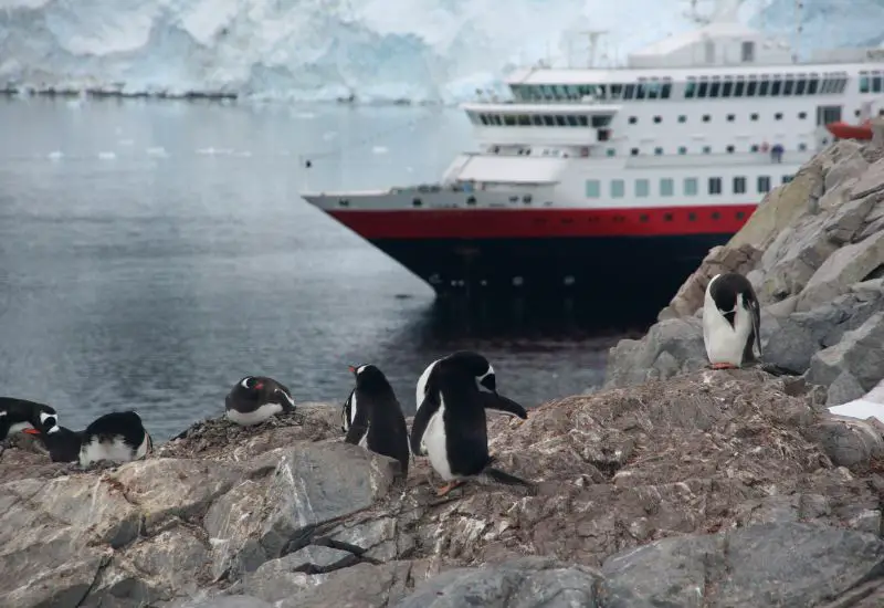 Pinguine und Kreuzfahrtschiff in der Antarktis