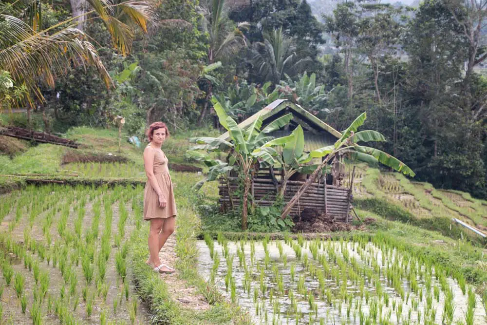 Daria neben einer Reisterrasse auf Bali in Indonesien