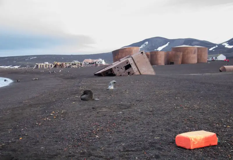Deception Island in der Antarktis Deception Island in der Antarktis